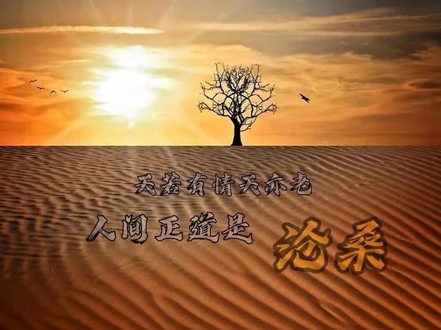历史上的今天“东方魔女”被枪决｜“东洋谍花”：川岛芳子的一生