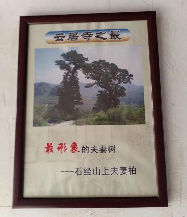 鐵兵遊記｜探訪三絕 四寶雲居寺