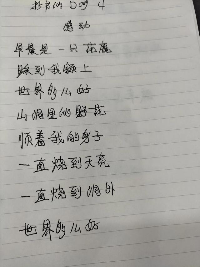 抄书的DAY4