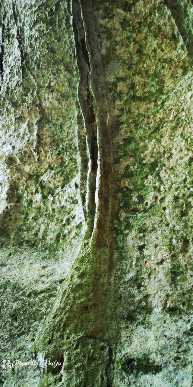 波多黎各之旅（四）遊風洞（CuevaVentana）奇遇世外桃源