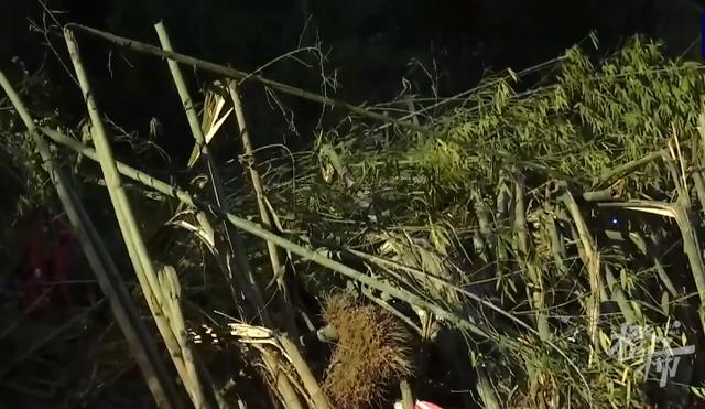 搜救现场最新画面：飞机残骸抛洒面积巨大，竹林被砸得面目全非