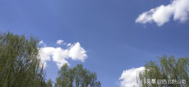 遥寄天公重作美，狂撒绚烂到塞北