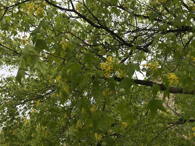 闲煮光阴慢品茶 从容不迫度年华