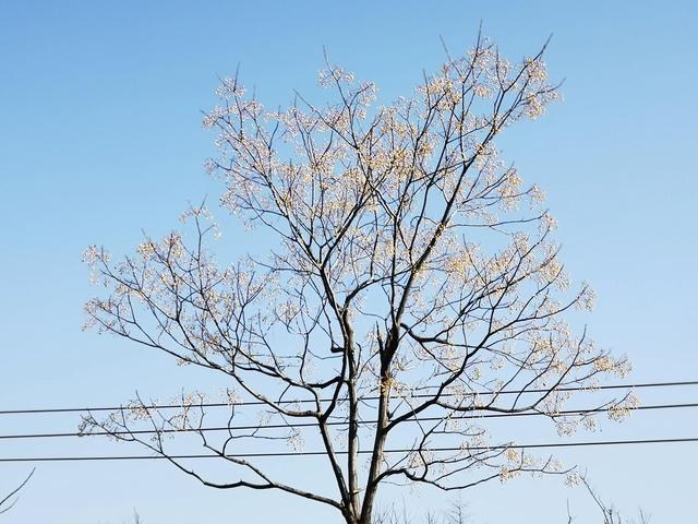 東郊新晉網紅公園，和灞河東路一起稱霸朋友圈