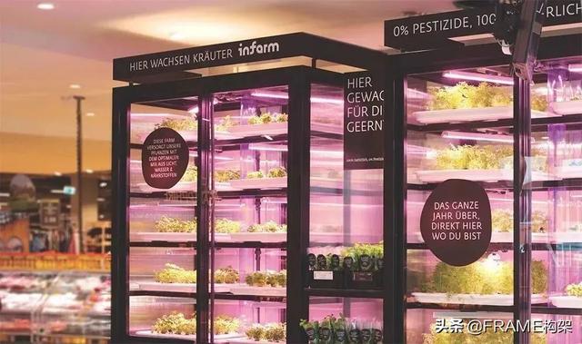 ​城市农业：“可以吃”的社区、超市变“农场”、鱼菜共生系统