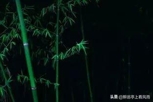 人和人之间，不过是一场以心换心