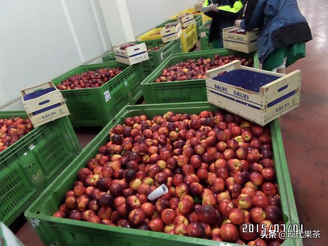 2018年意大利农业机械展