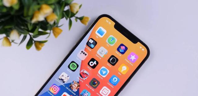 苹果手机真的不会卡顿？iPhone11出现死机无法关机该怎么办？