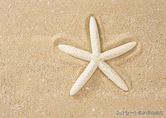 尾矿砂与机制砂