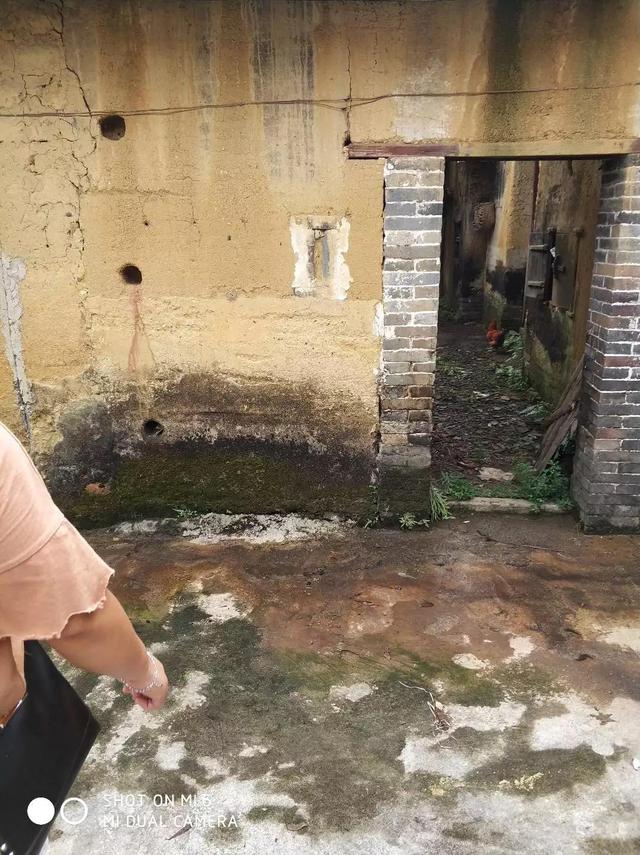 今天是一年24节气的谷雨喔
