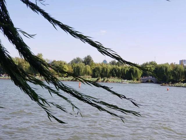 北国的春天已来临