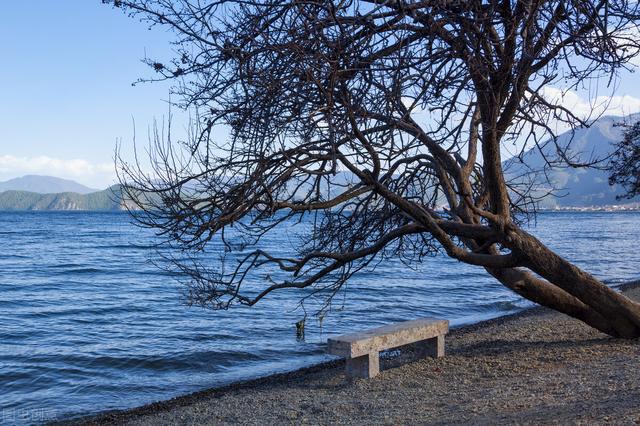 雲南的冬日也太美了吧！這6個地方的風景溫柔細膩，皆是歲月靜好