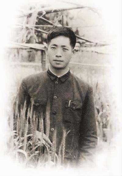 为什么诺贝尔奖这么多年未提名袁隆平？成果造福世界，却败给现实