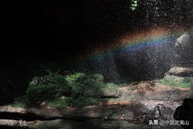 烟雨武夷 | 风景清明后，只一眼便忘却人间无数