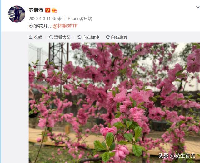 20年后再看林艳芳：新婚就把丈夫还给祖国，苏炳添娶她三生有幸
