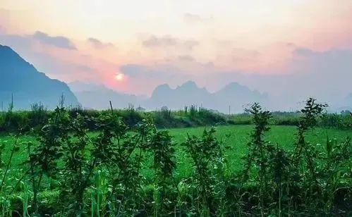 整日心情不好，竟然和早上晚起有关系
