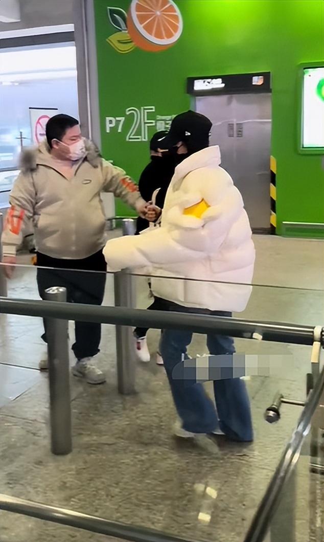 丽人保镖演员