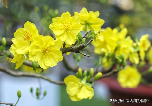 这12种中成药，40岁以后男女都适用，收藏转发，用时不慌
