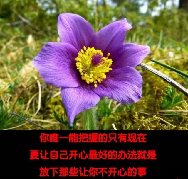 如何去做一件事