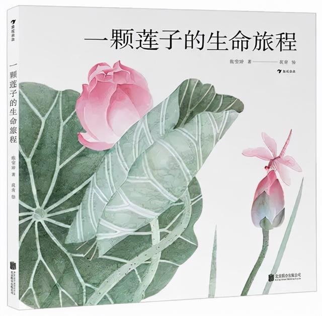 第七届爱丽丝绘本奖入围书单，2021年最佳绘本你pick谁？（上篇）