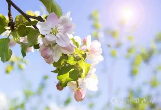 作文素材‖《人民日报》每日金句（4.13-4.30）