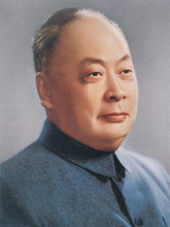 贺子珍回国后，彭德怀前去探望，紧握双手：我是专门来问候大姐的