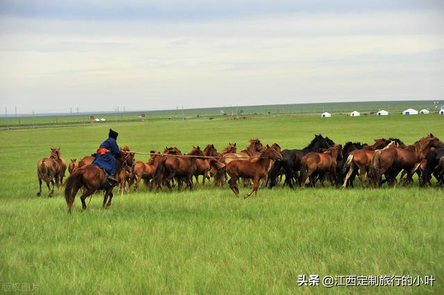 自驾去呼伦贝尔大草原注意什么（呼伦贝尔旅游攻略）(39)