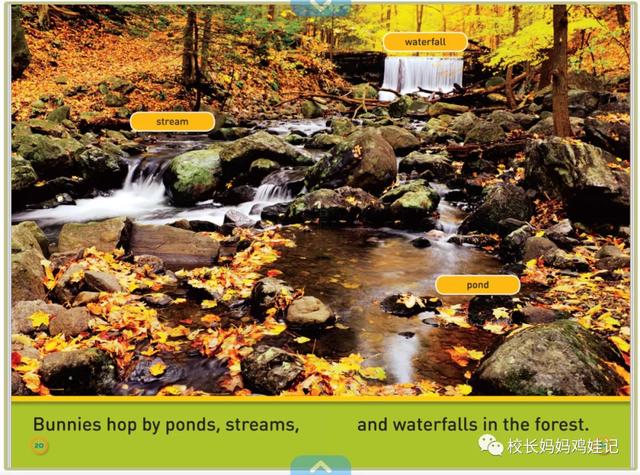 RAZ和红火箭，大猫，牛津树的前两个级别，能配科普和故事书了？