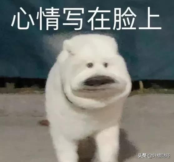 德阳真空陶瓷过滤机