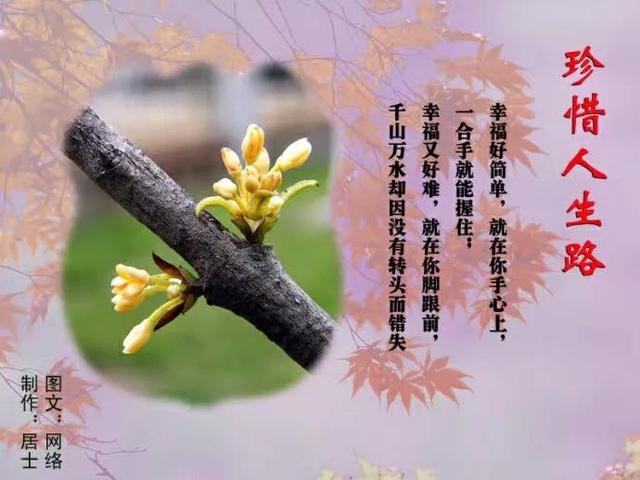 现代诗丨珍爱生命 活出最好的自己