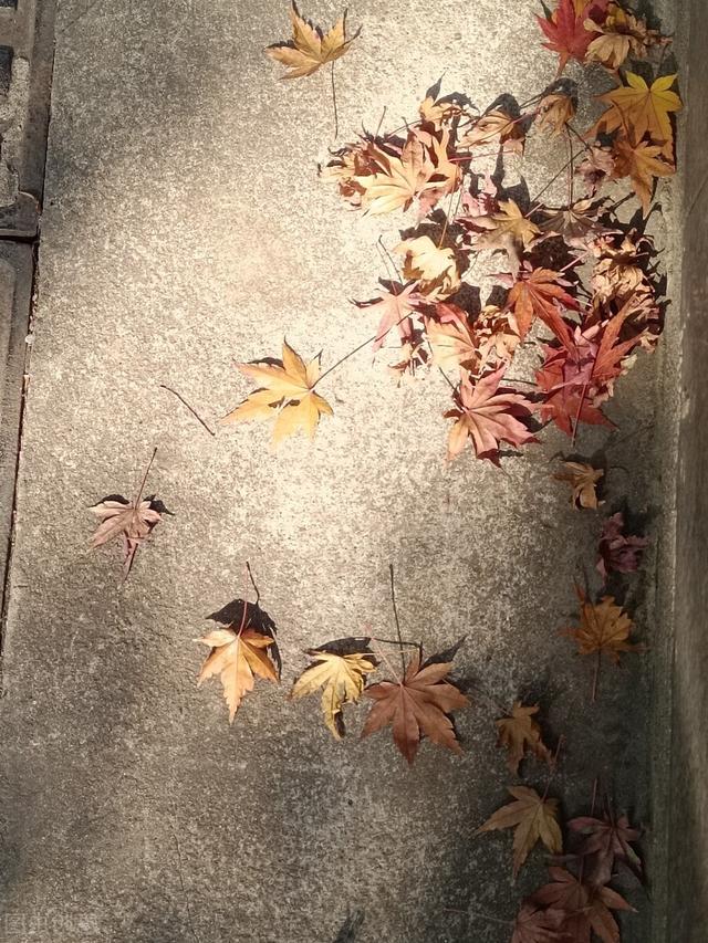 往事年华不堪回首，生死过后，领悟人生活着的意义