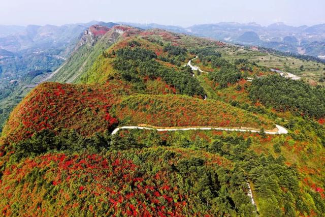 兴义市名片-白龙山生态旅游度假区即将开业插图23