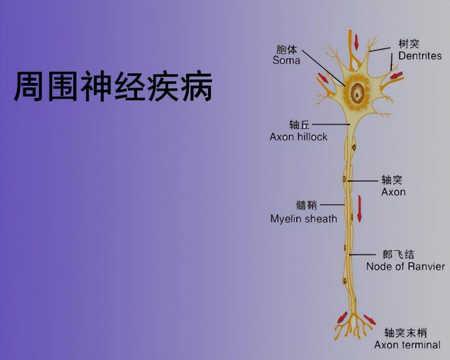 甲钴胺不只修复神经，还可用于这4种常见病，建议了解