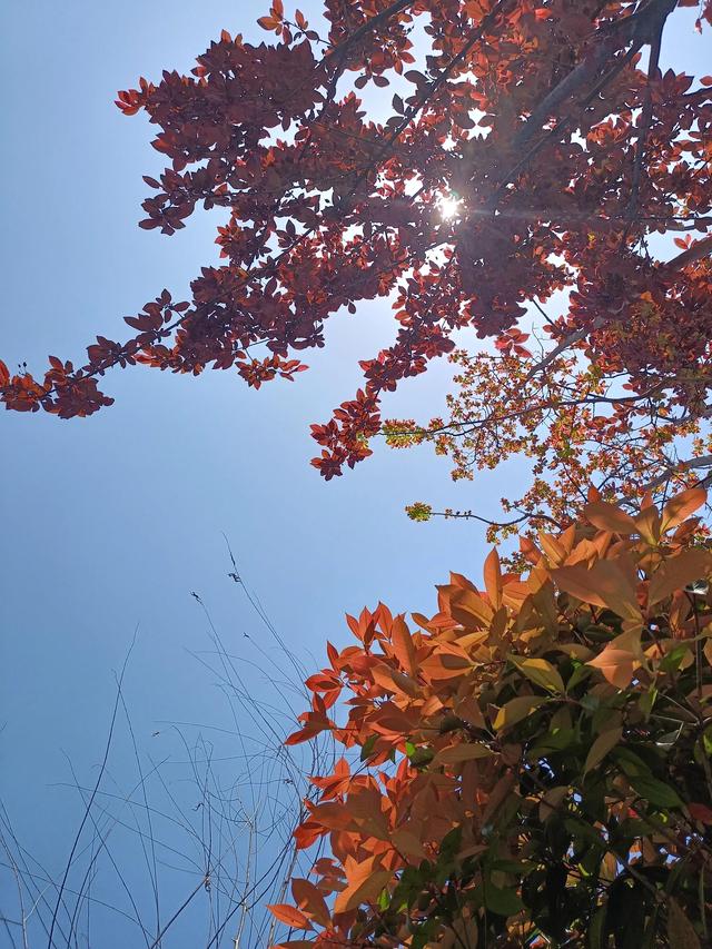 突然被这几句话点醒了