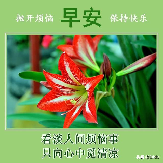 走心的早安文案，长大了才知道，成长是要脱一层皮的