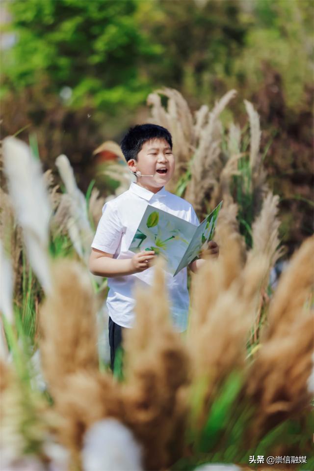 赏一片花海，读一本好书，这个“花园书房”太美妙了！