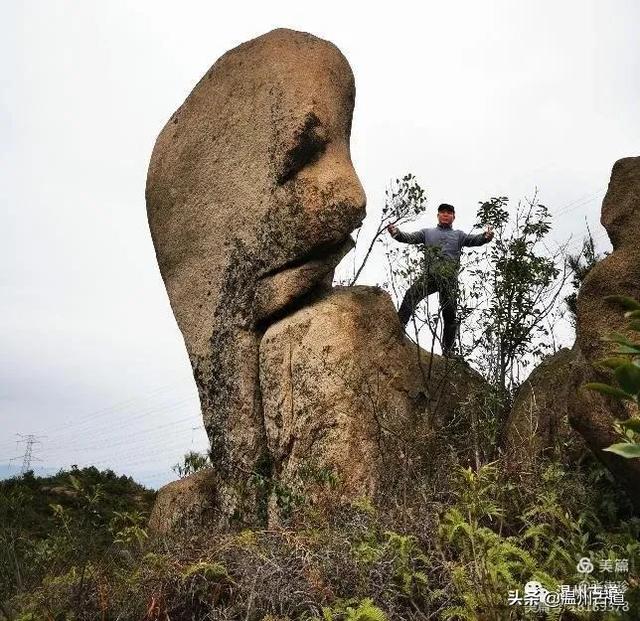 大羅山有處二師兄奇石，惟妙惟肖，你可找到過？