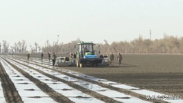 做好春季播种工作及人居环境整治工作的建议