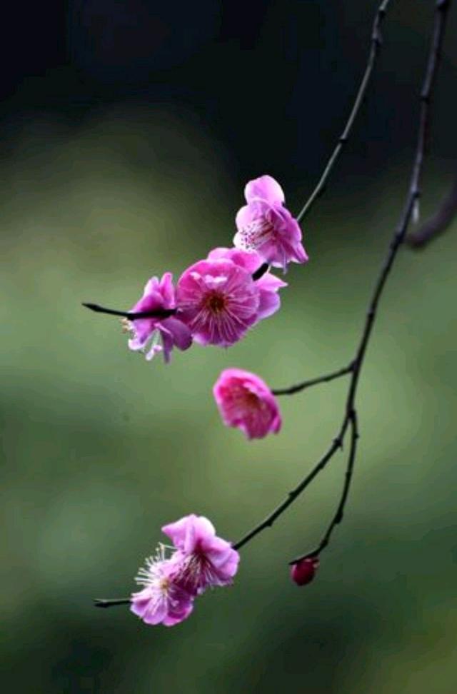 https://blog.sina.com.cn/s/blog_1636132920102z2hg.html