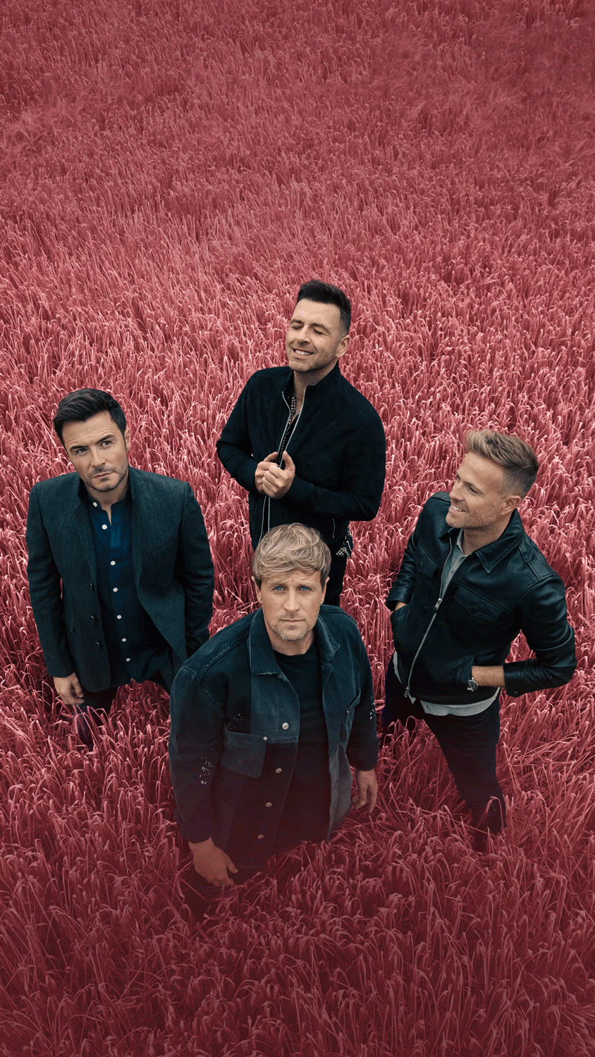 视频号花式突围,西城男孩演唱会直播,2700万人观看,1.6亿点赞