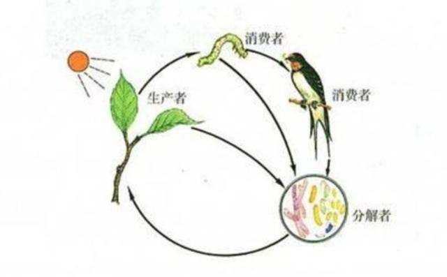 4男4女曾进行封闭空间实验，却发现，我们一直被“困”在地球？