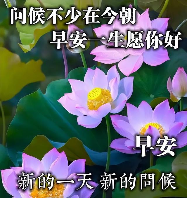 「2022.05.15」早安心语，正能量经典唯美语句，经典励志早安图文