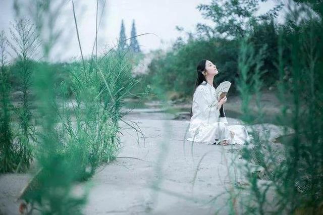 一半烟火，一半清欢；一半争取，一半随缘；一半清醒，一半释然