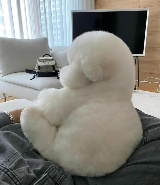 人生励志箴言，不要取悦别人，跟随自己的步伐，找到人生的意义