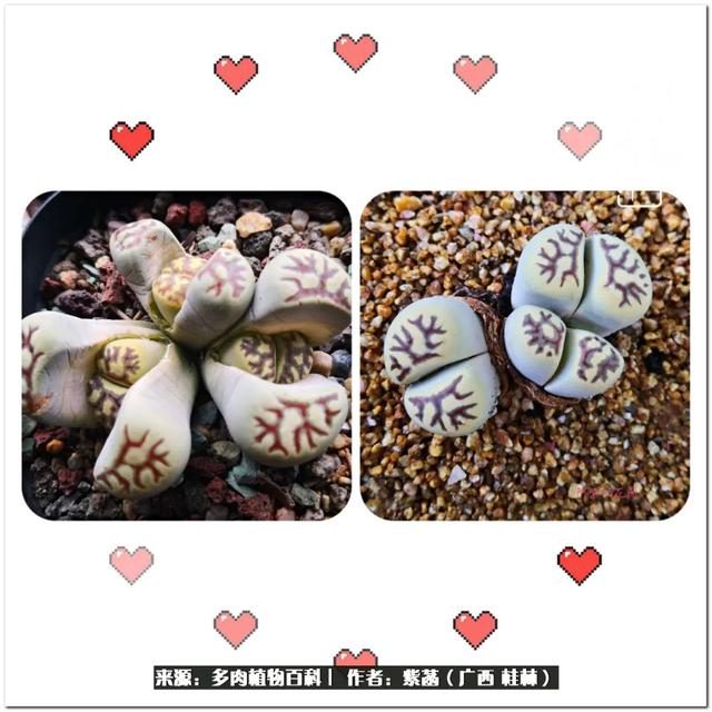 郑州新型泥土洗砂机