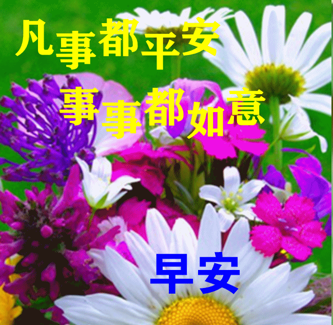 真诚待人的正能量短句问候早安语录正能量语句