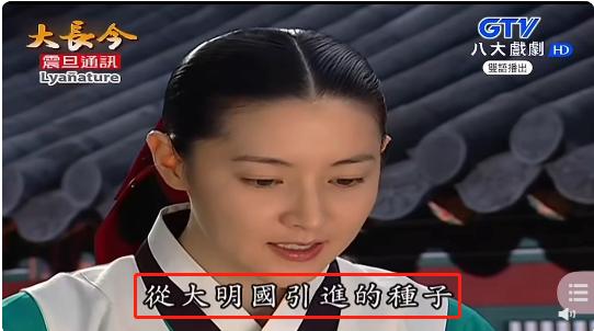 秋瓷炫向韩国粉丝道歉，称泡菜是韩国固有文化，或葬送在中国事业