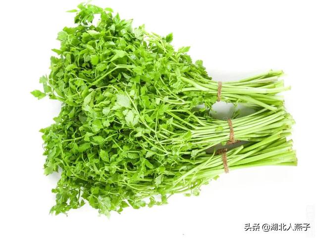 春天的野菜