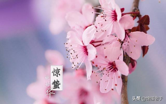 惊蛰前后，建议给家人多吃“5个鲜”，营养丰富，鲜嫩爽口，真香