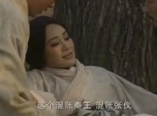 大秦帝国哪个电视剧比较经典（电视剧推荐看大秦帝国之纵横）(16)